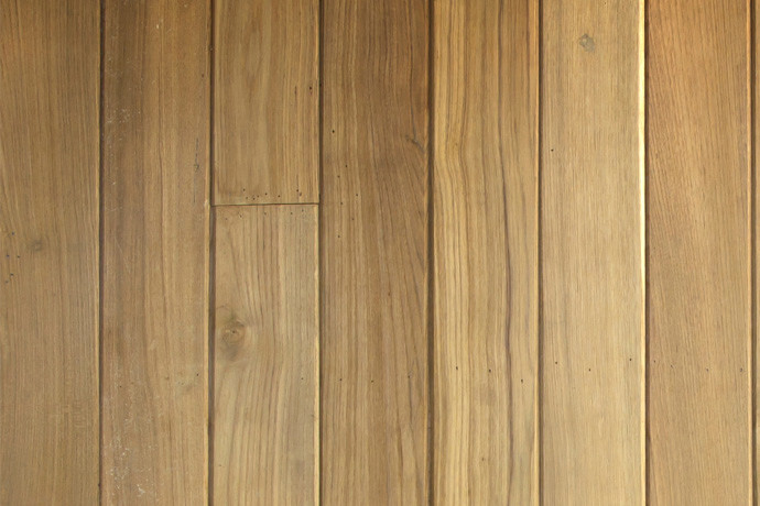 Black walnut wood texture
